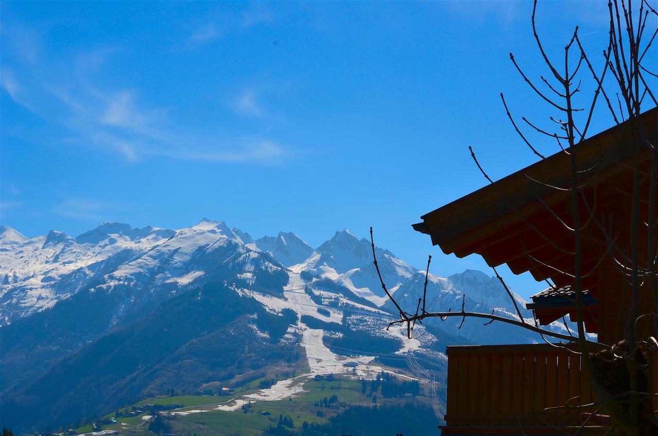 Apt Mountain View By - Alpen Apartments Zell am See Bagian luar foto